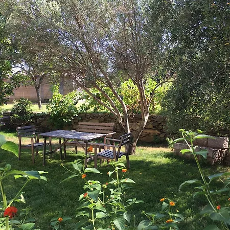- Very Spacious 130m2 With Garden, 2 Ac Bedrooms, Near Port, Center, And Beaches In Bastia